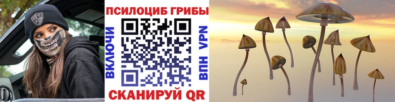 Галлюциногенные грибы Cubensis  как найти закладки  Иркутск 